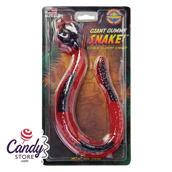 Giant Gummy Snake 16oz - 12ct CandyStore.com