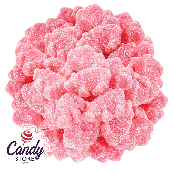 Sour Gummy Piglets Candy - 4.4lb