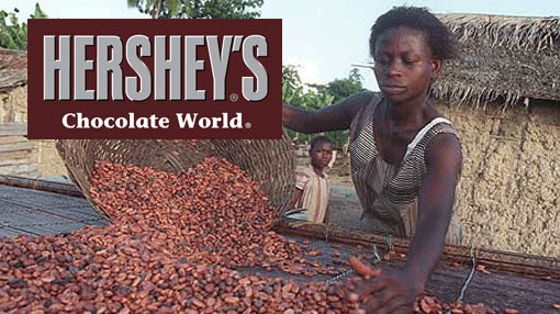 hesheys chocolate saves lives