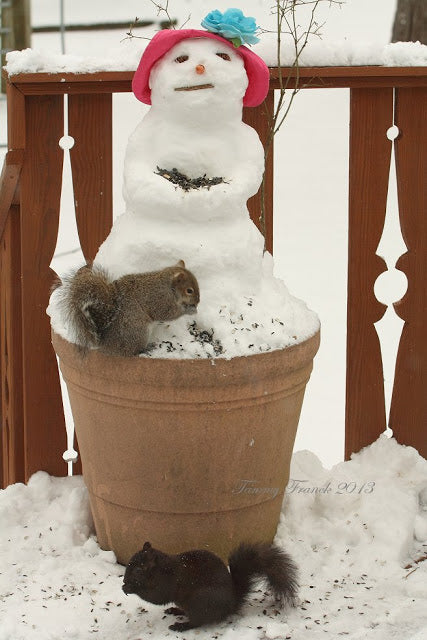 Snowman bird feeder