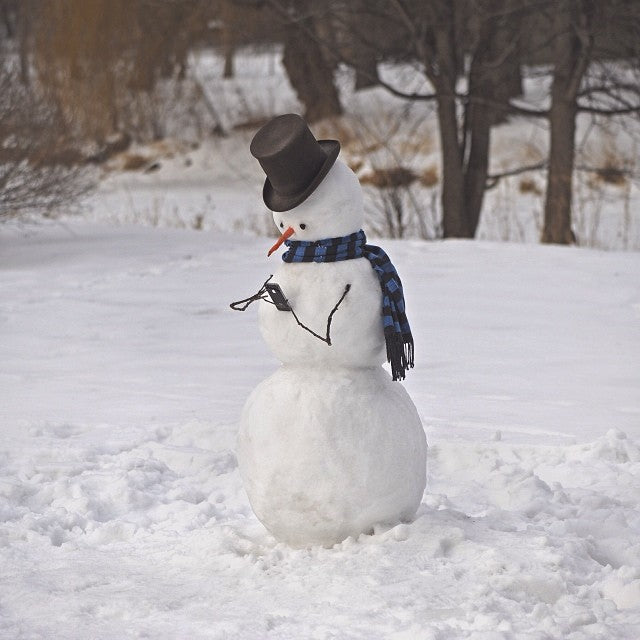 Texting snowman