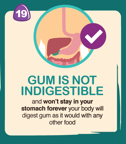 it's a myth that gum is not digestible