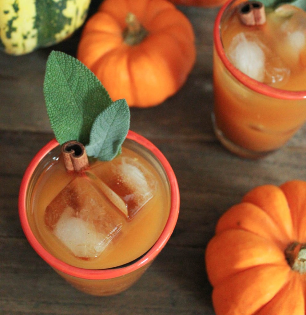 Pumpkin spice punch cocktail recipe for Thanksgiving