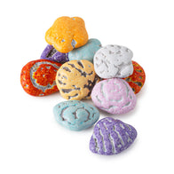 Chocolatey Beach Seashells - 3lb Bulk