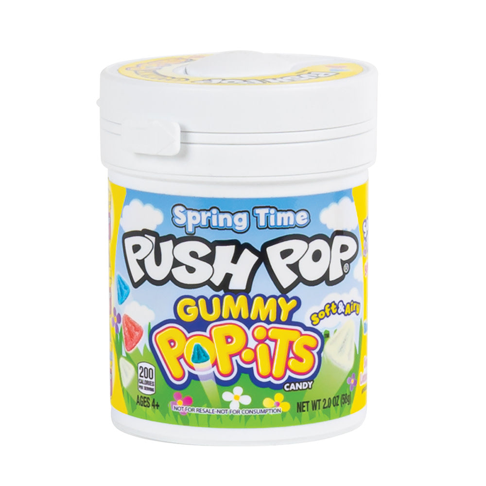 Push Pop Spring Time Gummy Pop-Its - 24ct – CandyStore.com