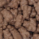 Chocolate Covered 6-Flavor Gummi Bears - 2.5lb CandyStore.com