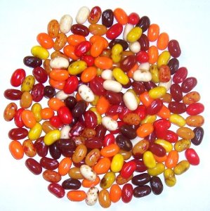 Jelly Belly Autumn Mix - 10lb CandyStore.com