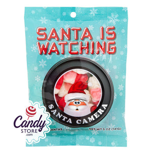 Santa Camera Peg Bags - 12ct CandyStore.com