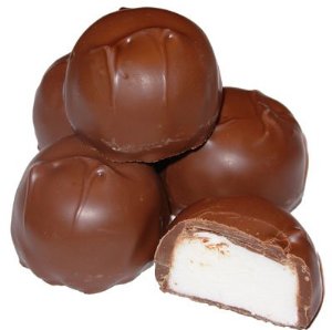 Sugar Free Vanilla Marshmallow Chocolates - 5lb CandyStore.com